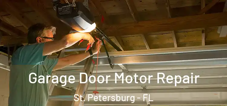  Garage Door Motor Repair St. Petersburg - FL