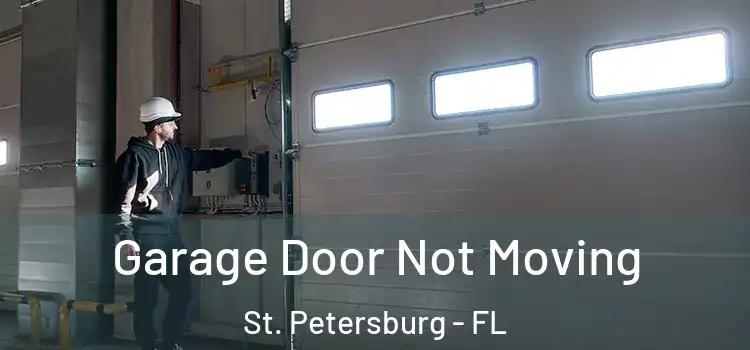  Garage Door Not Moving St. Petersburg - FL