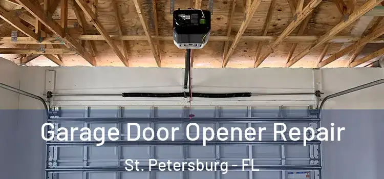  Garage Door Opener Repair St. Petersburg - FL