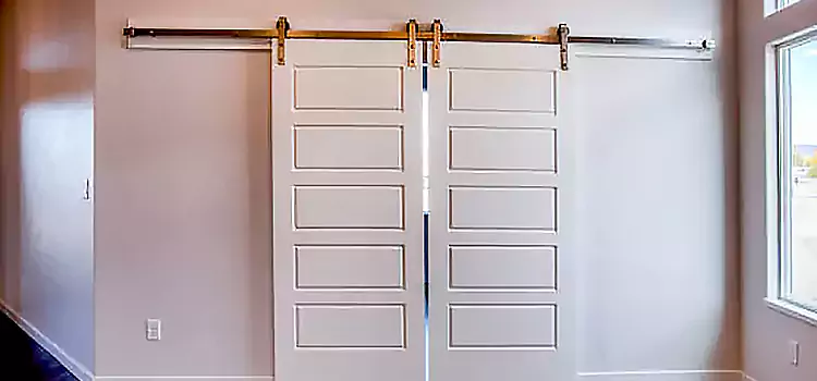 Glass Barn Door with Installation Hardware Kit St. Petersburg