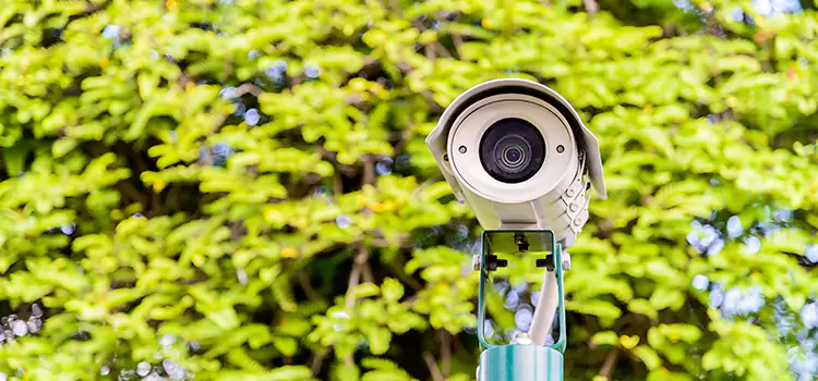 Advanced Surveillance Solutions for Every Need in St. Petersburg