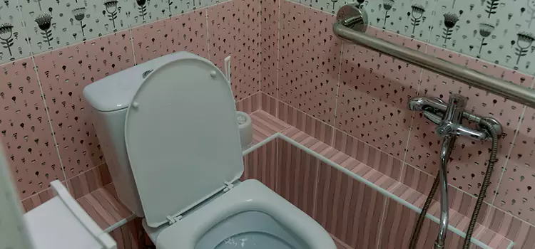 Meeting Diverse Needs With Accessible Restroom Solutions in St. Petersburg, FL