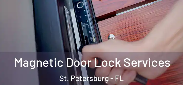 Magnetic Door Lock Services St. Petersburg - FL